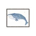 Picture of Blue Whale ll _GroupedProduct_Rectangle_Landscape_Mini_ _GroupedProduct_Rectangle_Landscape_Canvas_Framed_