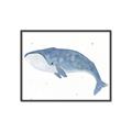 Picture of Blue Whale ll _GroupedProduct_Rectangle_Landscape_Mini_ _GroupedProduct_Rectangle_Landscape_Canvas_Framed_