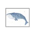 Picture of Blue Whale ll _GroupedProduct_Rectangle_Landscape_Mini_ _GroupedProduct_Rectangle_Landscape_Canvas_Framed_