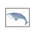 Picture of Blue Whale ll _GroupedProduct_Rectangle_Landscape_Mini_ _GroupedProduct_Rectangle_Landscape_Canvas_Framed_