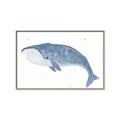 Picture of Blue Whale ll _GroupedProduct_Rectangle_Landscape_Mini_ _GroupedProduct_Rectangle_Landscape_Canvas_Framed_