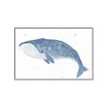 Picture of Blue Whale ll _GroupedProduct_Rectangle_Landscape_Mini_ _GroupedProduct_Rectangle_Landscape_Canvas_Framed_