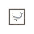 Picture of Narwhal _GroupedProduct_Square_Mini_ _GroupedProduct_Square_Canvas_Framed_