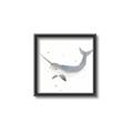 Picture of Narwhal _GroupedProduct_Square_Mini_ _GroupedProduct_Square_Canvas_Framed_