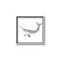 Picture of Narwhal _GroupedProduct_Square_Mini_ _GroupedProduct_Square_Canvas_Framed_