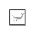 Picture of Narwhal _GroupedProduct_Square_Mini_ _GroupedProduct_Square_Canvas_Framed_
