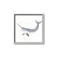 Picture of Narwhal _GroupedProduct_Square_Mini_ _GroupedProduct_Square_Canvas_Framed_