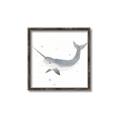 Picture of Narwhal _GroupedProduct_Square_Mini_ _GroupedProduct_Square_Canvas_Framed_