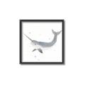 Picture of Narwhal _GroupedProduct_Square_Mini_ _GroupedProduct_Square_Canvas_Framed_