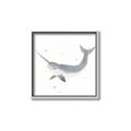 Picture of Narwhal _GroupedProduct_Square_Mini_ _GroupedProduct_Square_Canvas_Framed_