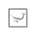 Picture of Narwhal _GroupedProduct_Square_Mini_ _GroupedProduct_Square_Canvas_Framed_