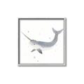 Picture of Narwhal _GroupedProduct_Square_Mini_ _GroupedProduct_Square_Canvas_Framed_