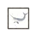 Picture of Narwhal _GroupedProduct_Square_Mini_ _GroupedProduct_Square_Canvas_Framed_
