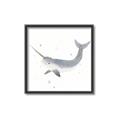 Picture of Narwhal _GroupedProduct_Square_Mini_ _GroupedProduct_Square_Canvas_Framed_