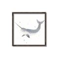 Picture of Narwhal _GroupedProduct_Square_Mini_ _GroupedProduct_Square_Canvas_Framed_