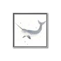 Picture of Narwhal _GroupedProduct_Square_Mini_ _GroupedProduct_Square_Canvas_Framed_