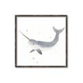 Picture of Narwhal _GroupedProduct_Square_Mini_ _GroupedProduct_Square_Canvas_Framed_