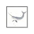 Picture of Narwhal _GroupedProduct_Square_Mini_ _GroupedProduct_Square_Canvas_Framed_