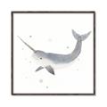 Picture of Narwhal _GroupedProduct_Square_Mini_ _GroupedProduct_Square_Canvas_Framed_