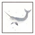 Picture of Narwhal _GroupedProduct_Square_Mini_ _GroupedProduct_Square_Canvas_Framed_