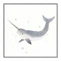 Picture of Narwhal _GroupedProduct_Square_Mini_ _GroupedProduct_Square_Canvas_Framed_