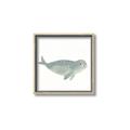Picture of Spotted Seal _GroupedProduct_Square_Mini_ _GroupedProduct_Square_Canvas_Framed_