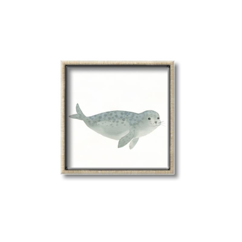 Picture of Spotted Seal _GroupedProduct_Square_Mini_ _GroupedProduct_Square_Canvas_Framed_
