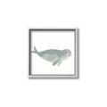 Picture of Spotted Seal _GroupedProduct_Square_Mini_ _GroupedProduct_Square_Canvas_Framed_