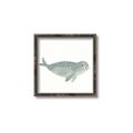 Picture of Spotted Seal _GroupedProduct_Square_Mini_ _GroupedProduct_Square_Canvas_Framed_