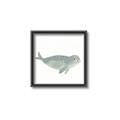 Picture of Spotted Seal _GroupedProduct_Square_Mini_ _GroupedProduct_Square_Canvas_Framed_