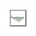 Picture of Spotted Seal _GroupedProduct_Square_Mini_ _GroupedProduct_Square_Canvas_Framed_