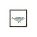 Picture of Spotted Seal _GroupedProduct_Square_Mini_ _GroupedProduct_Square_Canvas_Framed_