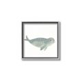 Picture of Spotted Seal _GroupedProduct_Square_Mini_ _GroupedProduct_Square_Canvas_Framed_