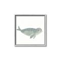 Picture of Spotted Seal _GroupedProduct_Square_Mini_ _GroupedProduct_Square_Canvas_Framed_