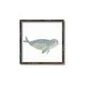 Picture of Spotted Seal _GroupedProduct_Square_Mini_ _GroupedProduct_Square_Canvas_Framed_