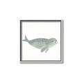 Picture of Spotted Seal _GroupedProduct_Square_Mini_ _GroupedProduct_Square_Canvas_Framed_