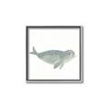 Picture of Spotted Seal _GroupedProduct_Square_Mini_ _GroupedProduct_Square_Canvas_Framed_