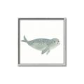 Picture of Spotted Seal _GroupedProduct_Square_Mini_ _GroupedProduct_Square_Canvas_Framed_