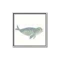 Picture of Spotted Seal _GroupedProduct_Square_Mini_ _GroupedProduct_Square_Canvas_Framed_