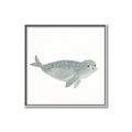 Picture of Spotted Seal _GroupedProduct_Square_Mini_ _GroupedProduct_Square_Canvas_Framed_