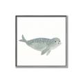 Picture of Spotted Seal _GroupedProduct_Square_Mini_ _GroupedProduct_Square_Canvas_Framed_