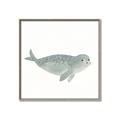 Picture of Spotted Seal _GroupedProduct_Square_Mini_ _GroupedProduct_Square_Canvas_Framed_
