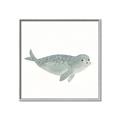 Picture of Spotted Seal _GroupedProduct_Square_Mini_ _GroupedProduct_Square_Canvas_Framed_