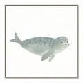 Picture of Spotted Seal _GroupedProduct_Square_Mini_ _GroupedProduct_Square_Canvas_Framed_