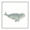 Picture of Spotted Seal _GroupedProduct_Square_Mini_ _GroupedProduct_Square_Canvas_Framed_