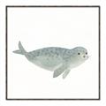 Picture of Spotted Seal _GroupedProduct_Square_Mini_ _GroupedProduct_Square_Canvas_Framed_