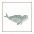 Picture of Spotted Seal _GroupedProduct_Square_Mini_ _GroupedProduct_Square_Canvas_Framed_