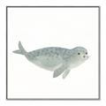 Picture of Spotted Seal _GroupedProduct_Square_Mini_ _GroupedProduct_Square_Canvas_Framed_