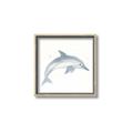 Picture of Dolphin _GroupedProduct_Square_Mini_ _GroupedProduct_Square_Canvas_Framed_