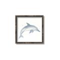 Picture of Dolphin _GroupedProduct_Square_Mini_ _GroupedProduct_Square_Canvas_Framed_